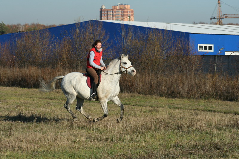 IMG_1147.jpg1.jpg"%20height="533"%20width="800